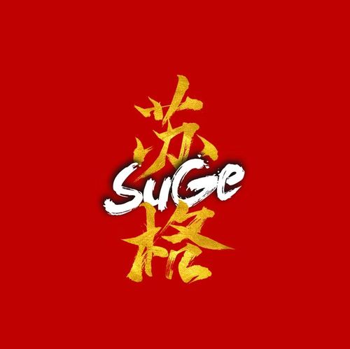 苏格婚纱摄影工厂 studlo 庆阳