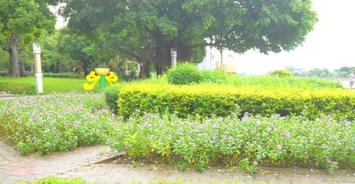 中山市小榄江滨公园 从造船厂到婚纱摄影基地的华丽转身