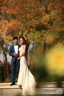 水晶之恋婚纱摄影 一次性价比超高的满意体验