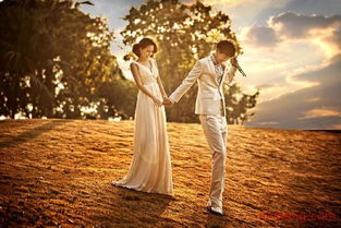 定格永恒瞬间 名人婚纱摄影产品全解析与新品风向