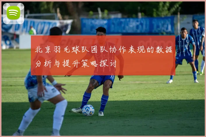 北京羽毛球队团队协作表现的数据分析与提升策略探讨